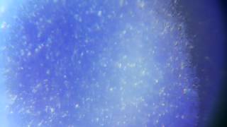 PHYSFX - Fairy Snow 001 - Free Stock Video - Raw Camera VFX, No cmoputer, Just Physics and Nature