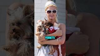 Celebrities who have Ton of Pets | #shorts #celebrity #pets