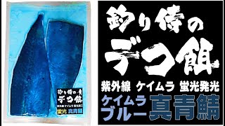 アミノ酸配合 紫外線 蛍光発光 ケイムラブルー真青 サバ 半身２枚組 サバ 切り身 エサ 釣りえさ 釣り餌 アミノ酸 つけエサ つり餌 冷凍 サバ 餌 冷凍 鯖短冊 釣り エサ 山下漁具店 山下漁具