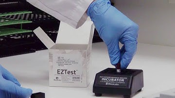 SporeTesting Overview   EZ Test