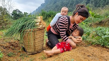 Looking back to the days when the single girl harvested everything to sell to raise her two children