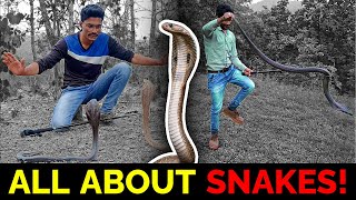 All about snakes | Snake bite