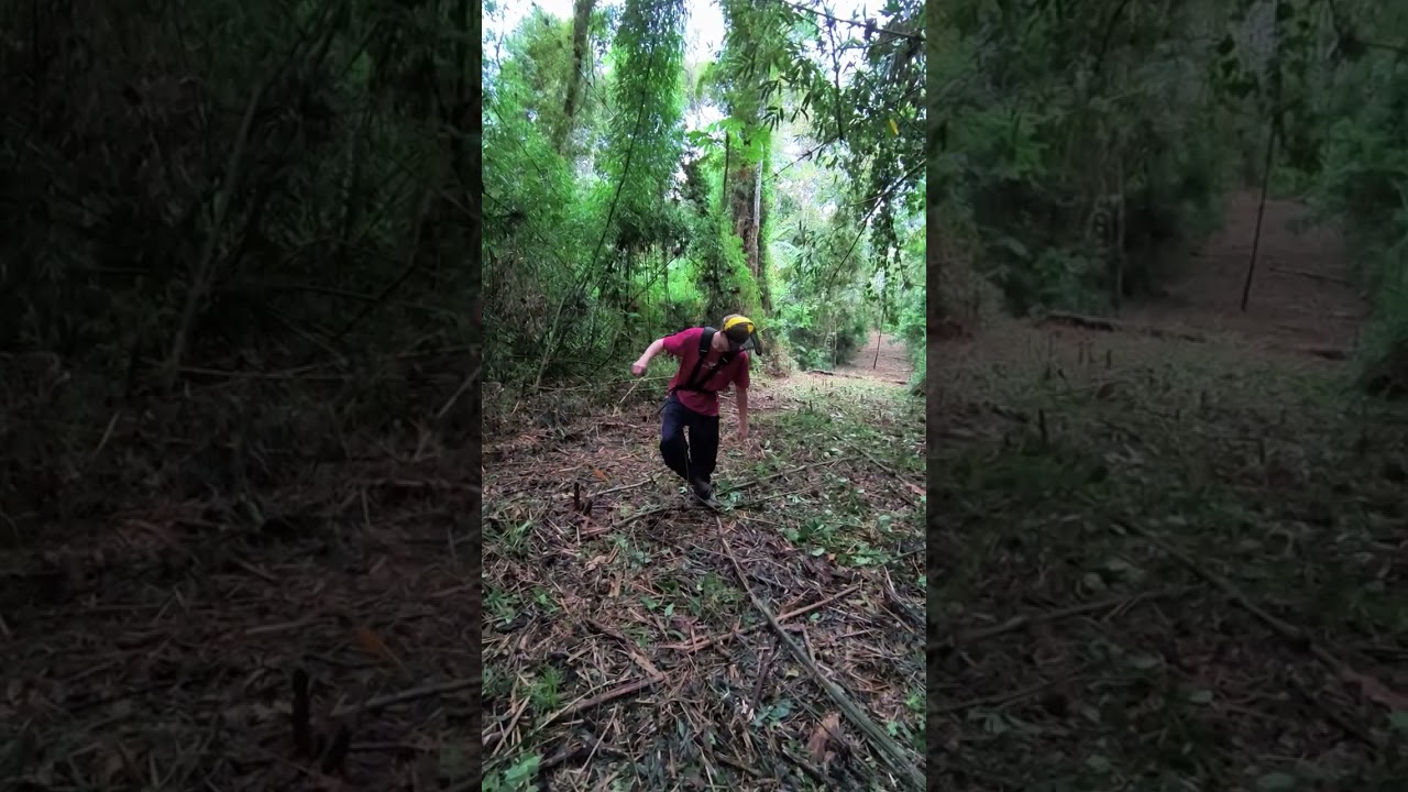 Life of a volunteer road clearing Off-Grid Living • Wildlife • Sustainable Building 🌎🐒🛠️