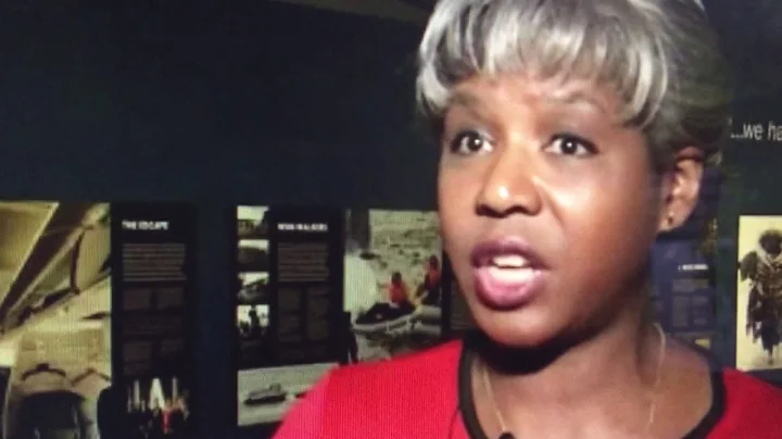 Brenda Robinson; American Airlines Pilot Broke Avi...