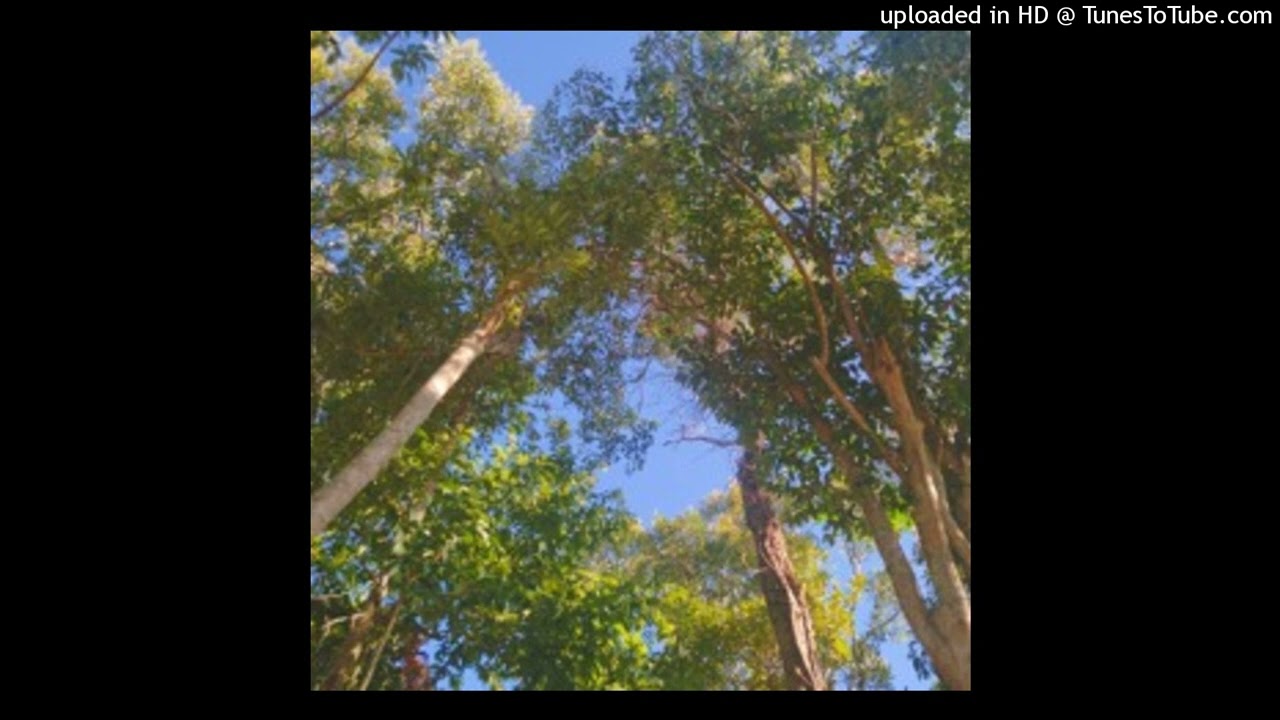 Clúster - Esquivando La Fame [No Gimmickz]