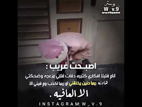 حاله وتساب اصبحت غريب 