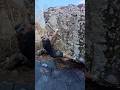 “Highway Jones V3” Stone Fort / Little Rock City #climbing #bouldering #rockclimbing #outdoors