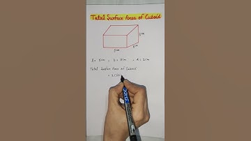 How to find Total Surface area of Cuboid (The Easy Way!) #mensuration #maths #mathstricks