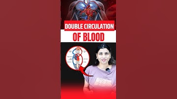 Double Circulation Of Blood #neetbiology #neet2025 #riturattewal #doublecirculation