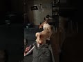 Lhasa apso barking