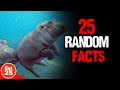 25 Astonishing Random Facts That Will Leave You in Awe