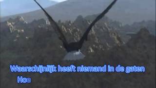 Video thumbnail of "KARAOKE - VLEUGELS VAN MIJN VLUCHT - PAUL DE LEEUW [HD]"