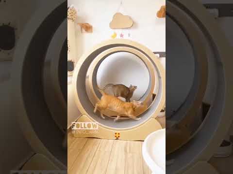 السباق الشرس ضحك ضحكة ضحك فله وناسه طقطقه مقاطع مضحكه استهبال الرياض ممتعه فصله 