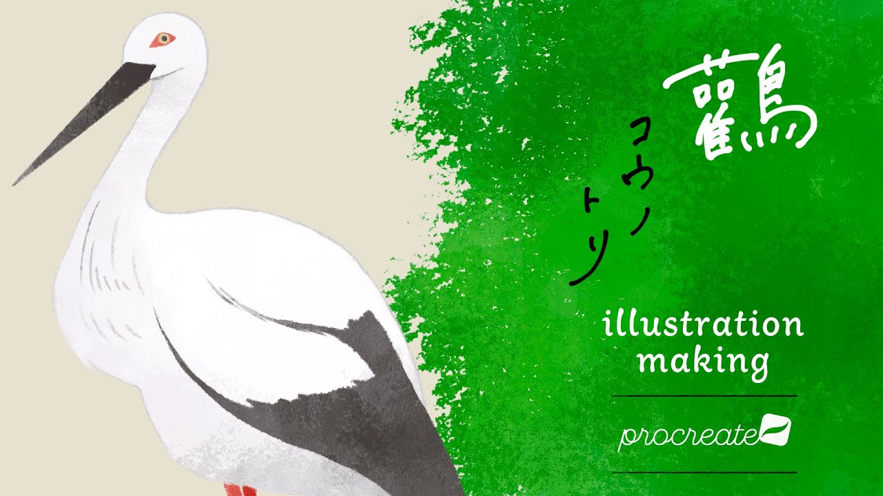 Procreate イラストメイキング コウノトリ Youtube