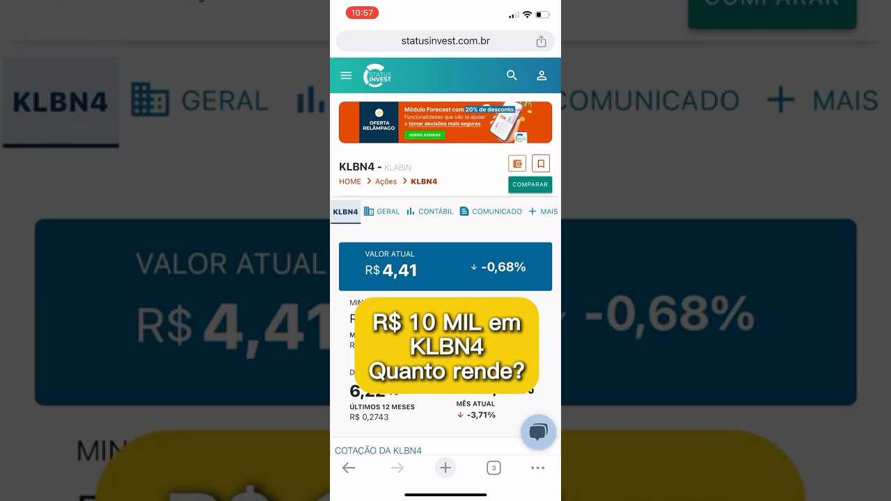 Quanto rende R$ 10 MIL em dividendos nas ações da KLABIN (KLBN4) 