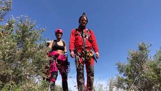 Sorbas, Cuevas nieves y más