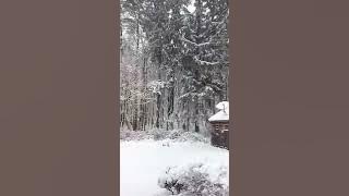 https://goo.gl/photos/rXFyWAc91qGouwcY9