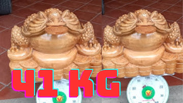 Cận cảnh tượng thiềm thừ gỗ ngọc am to đẹp nặng 41kg