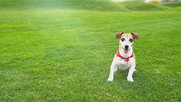 Behaviour Modification Video Clip 6 - ADHD