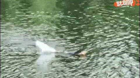 Ferocious otters chase off monitor lizard in epic battle at Punggol Waterway Park