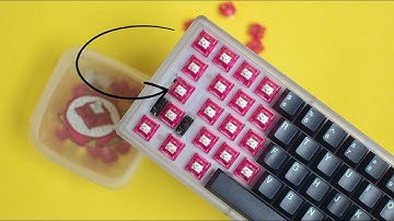 Key Dot Company x C3 Equalz Dragonfruit Switches Review! Light Tactiles