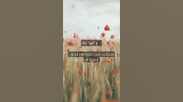 إِنَّمَا الْمُؤْمِنُونَ إِخْوَةٌ || سورة الحجرات || أحمد العجمي
