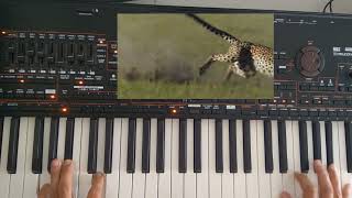 Danekoo1 - Relaxing Music With Beautiful Nature (Instrumental Korg Pa4X )