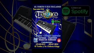 Mi Trompeta Alegre - El Torito y Sus Teclados - Audio de Estudio