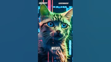 The Rise of Ai cats.