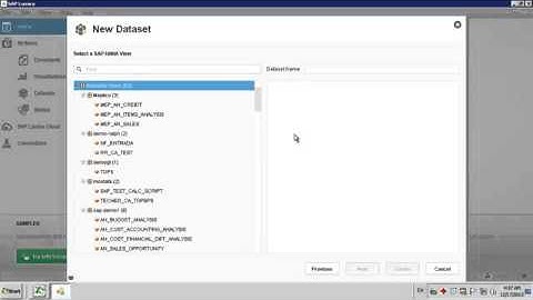 SAP Lumira with SAP Business One 9 0 on SAP HANA 1