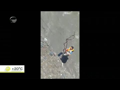 მაშველებმა ჰასკი მტკვარში დახრჩობას გადაარჩინეს