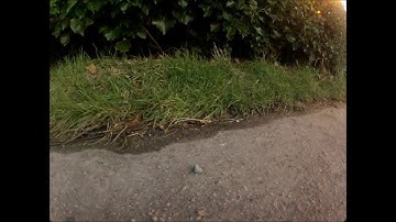 HPI E-Firestorm 10t flux with GoPro HD Hero 2 Extra Video