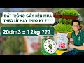 Hé lộ lý do đất trồng cây luôn tính bằng thể tích | Người làm vườn nên biết!