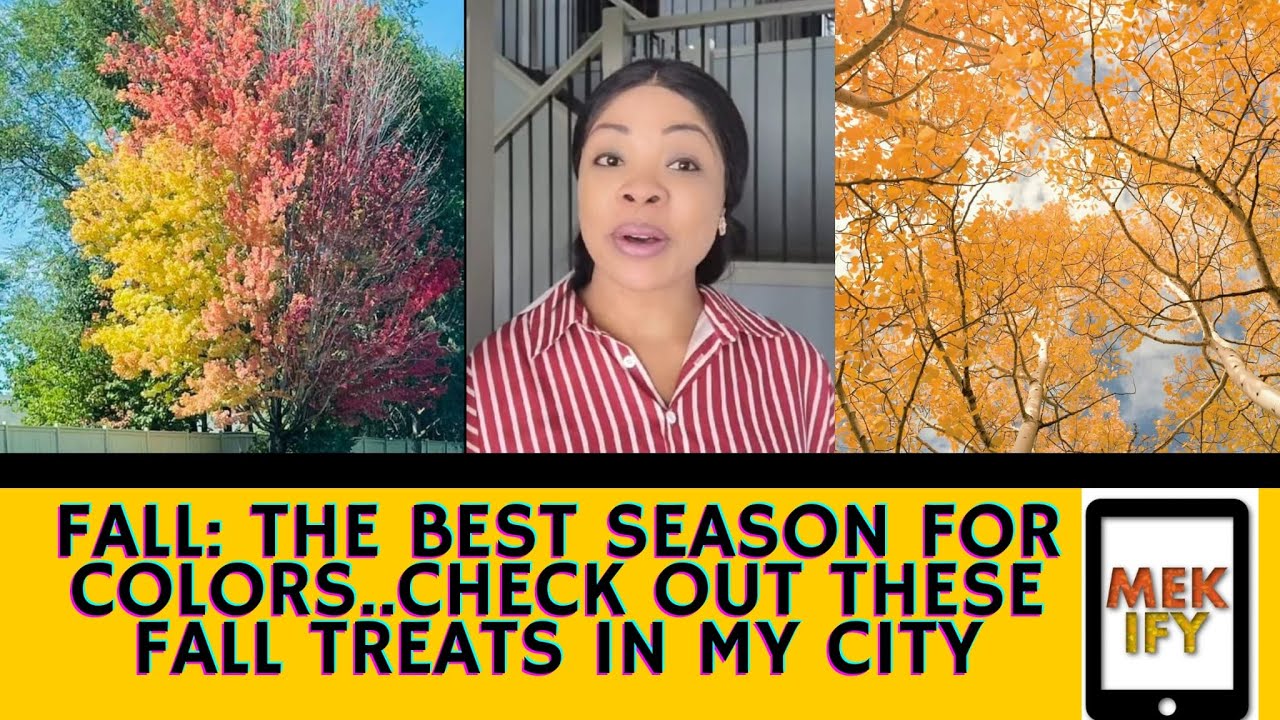 fall-season-in-canada-falling-autumn-leaves-beautiful-scenes-youtube