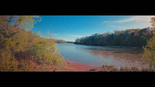 Anamorphic