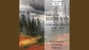 String Quartet No. 8 in E Minor, Op. 59, No. 2: I. Allegro