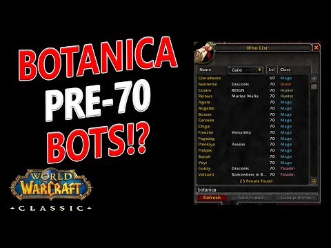 Видео: WoW Classic - Paladin Strat Ban and Botanica Bots Gone Wild!!