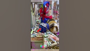A Cute Grand Prize in the claw machine Part 21 #clawmachine #arcade #prize