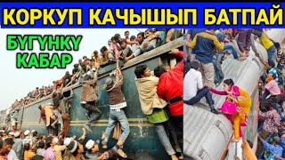 Индус пактар коркушуп элден Талан Анарбаев токотор жерин айтып!