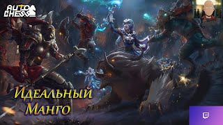 :   Auto Chess     
