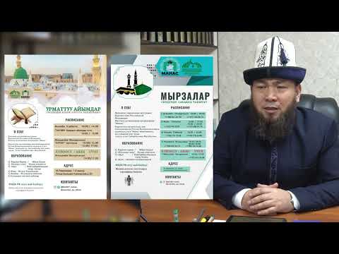 Video: Сонун арстандар качан болот?