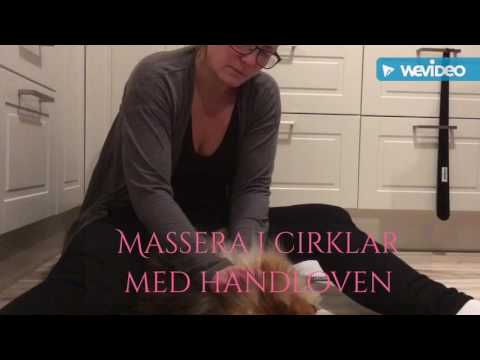 Video: Hur Massage Behandlar Husdjur