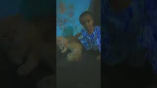 Maryam & Nono? babygirl cutebaby cats nono malecat fun funnycats shorts