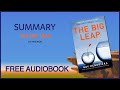 Summary of The Big Leap by Gay Hendricks | Free Audiobook