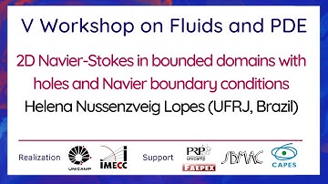 V Workshop on Fluids and PDE - September 20th, 2021 - Helena Nussenzveig Lopes