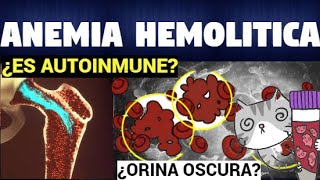 TODO SOBRE Anemia Hemolítica | Tipos, Causas, Síntomas y Tratamiento