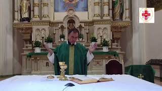 Santa Misa Dominical - 10 de julio de 2022