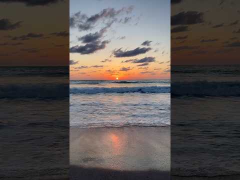 Видео: Happy Thursday to you #beach #oceansunrise