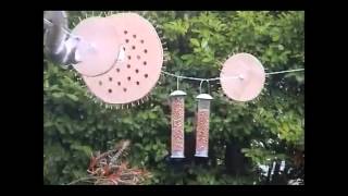 A Squirrels Mission Impossible!
