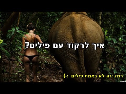 וִידֵאוֹ: איך למשוך את תשומת ליבם של החבר'ה